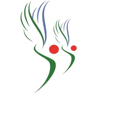 Logo Agentia Impreuna