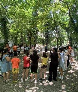 Raport de consultare al elevilor: Provocări, atitudini și valori legate de școală